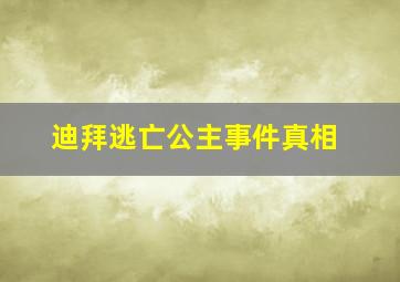 迪拜逃亡公主事件真相