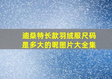 迪桑特长款羽绒服尺码是多大的呢图片大全集