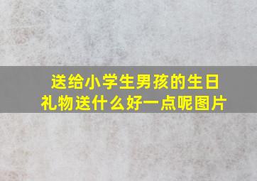 送给小学生男孩的生日礼物送什么好一点呢图片