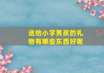 送给小学男孩的礼物有哪些东西好呢