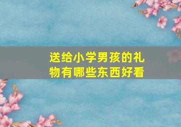 送给小学男孩的礼物有哪些东西好看