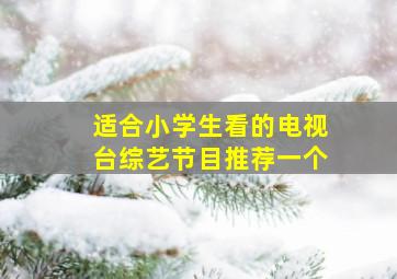 适合小学生看的电视台综艺节目推荐一个