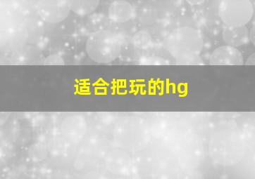 适合把玩的hg