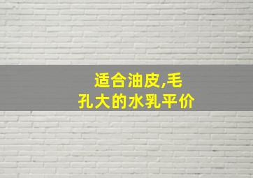 适合油皮,毛孔大的水乳平价