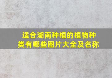 适合湖南种植的植物种类有哪些图片大全及名称