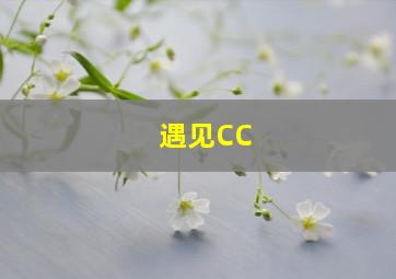 遇见CC