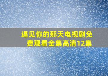 遇见你的那天电视剧免费观看全集高清12集