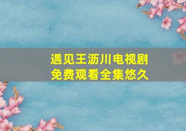 遇见王沥川电视剧免费观看全集悠久