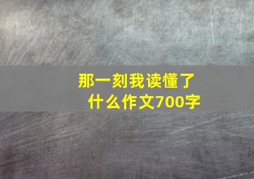 那一刻我读懂了什么作文700字