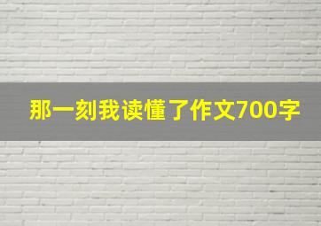 那一刻我读懂了作文700字