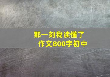 那一刻我读懂了作文800字初中