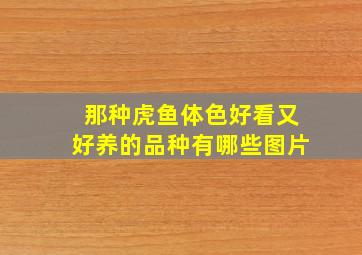 那种虎鱼体色好看又好养的品种有哪些图片