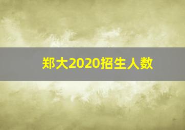 郑大2020招生人数