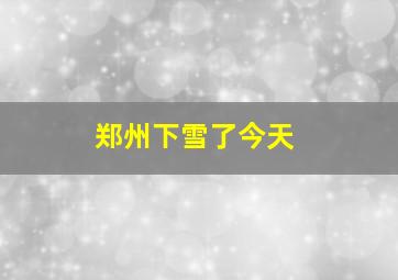 郑州下雪了今天