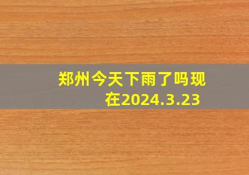 郑州今天下雨了吗现在2024.3.23