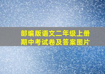 部编版语文二年级上册期中考试卷及答案图片