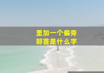 里加一个偏旁部首是什么字