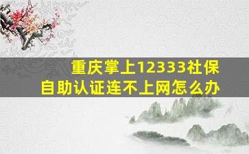 重庆掌上12333社保自助认证连不上网怎么办