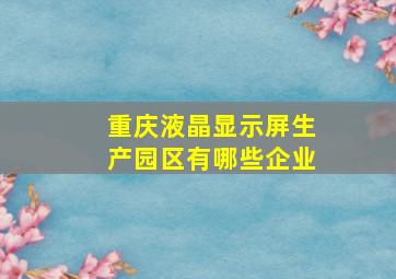 重庆液晶显示屏生产园区有哪些企业