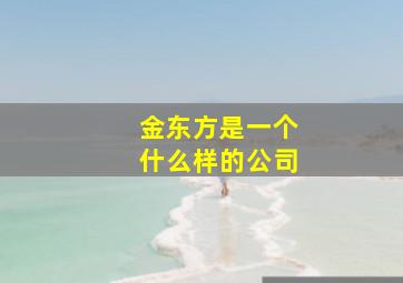 金东方是一个什么样的公司