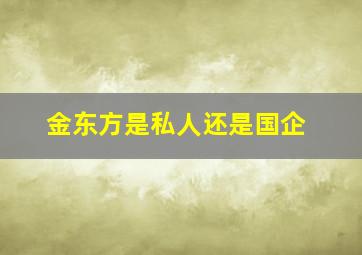 金东方是私人还是国企