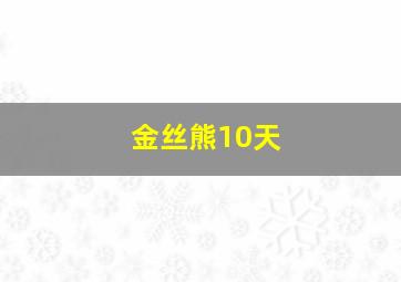 金丝熊10天