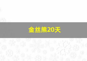 金丝熊20天