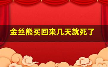 金丝熊买回来几天就死了