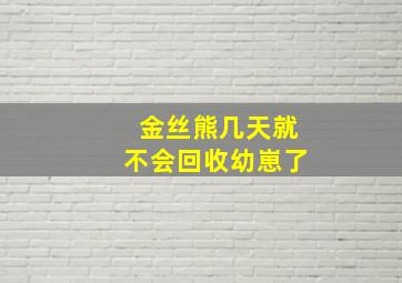 金丝熊几天就不会回收幼崽了