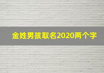 金姓男孩取名2020两个字