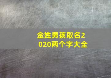 金姓男孩取名2020两个字大全