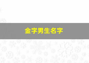 金字男生名字