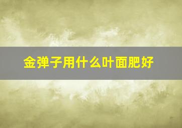 金弹子用什么叶面肥好