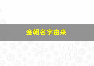 金朝名字由来