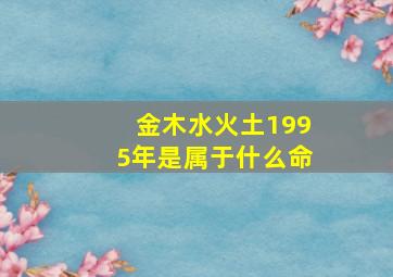 金木水火土1995年是属于什么命