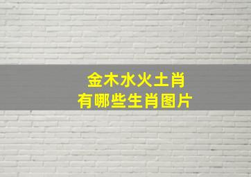 金木水火土肖有哪些生肖图片