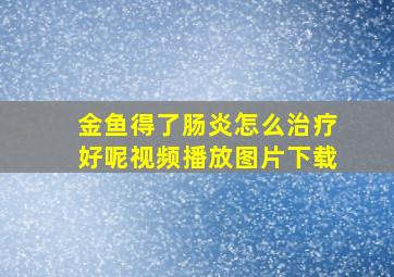 金鱼得了肠炎怎么治疗好呢视频播放图片下载