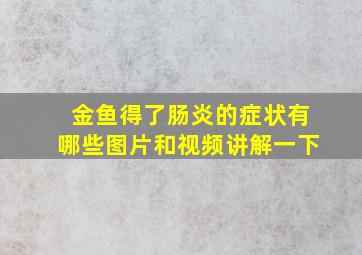 金鱼得了肠炎的症状有哪些图片和视频讲解一下