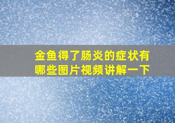 金鱼得了肠炎的症状有哪些图片视频讲解一下