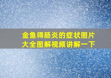 金鱼得肠炎的症状图片大全图解视频讲解一下