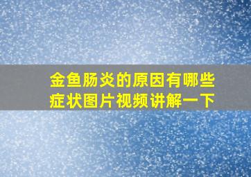 金鱼肠炎的原因有哪些症状图片视频讲解一下