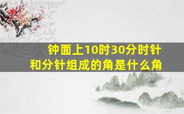 钟面上10时30分时针和分针组成的角是什么角