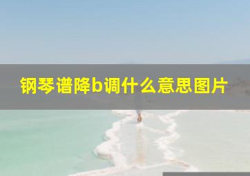 钢琴谱降b调什么意思图片