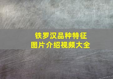 铁罗汉品种特征图片介绍视频大全