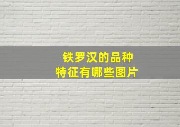 铁罗汉的品种特征有哪些图片