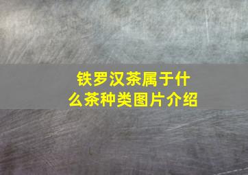 铁罗汉茶属于什么茶种类图片介绍