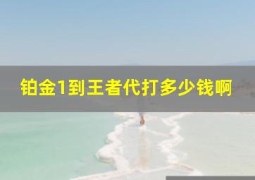 铂金1到王者代打多少钱啊