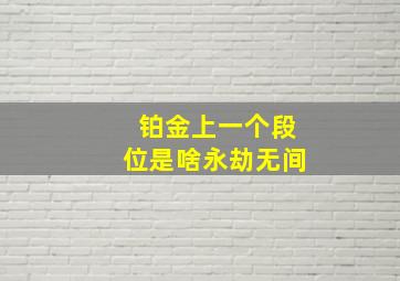 铂金上一个段位是啥永劫无间