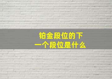 铂金段位的下一个段位是什么