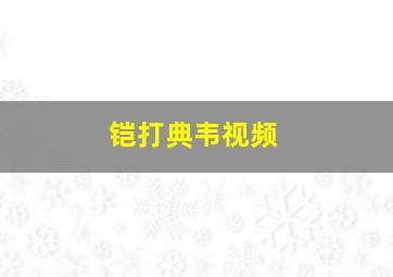 铠打典韦视频